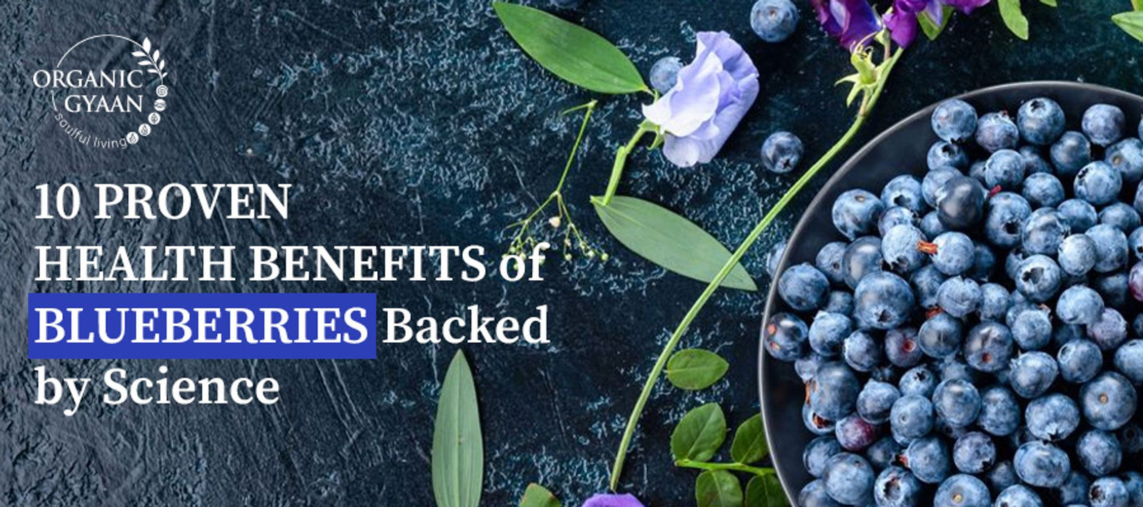 Health benefits of blueberries