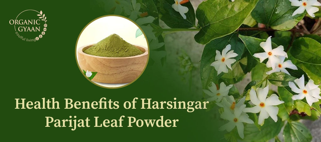 10 Health Benefits of Harsingar Parijat Leaf Powder