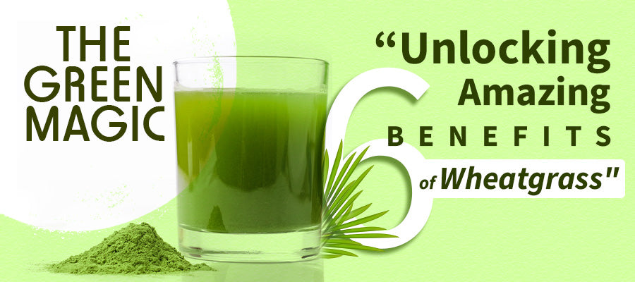 Benefits of wheatgrass powder