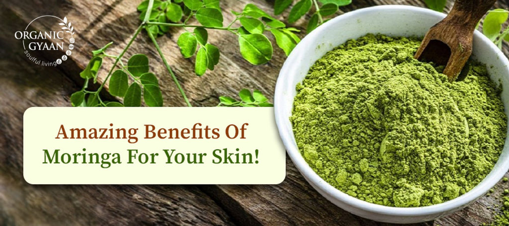 7 Amazing Benefits Of Moringa For Your Skin