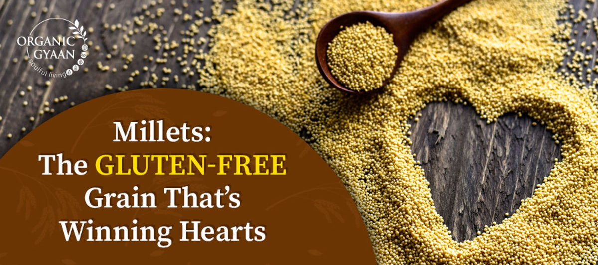 Millets: Gluten-Free Super Grain Gains Popularity – Organic Gyaan