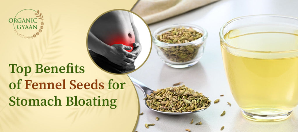 Top Benefits of Fennel Seeds for Stomach Bloating
