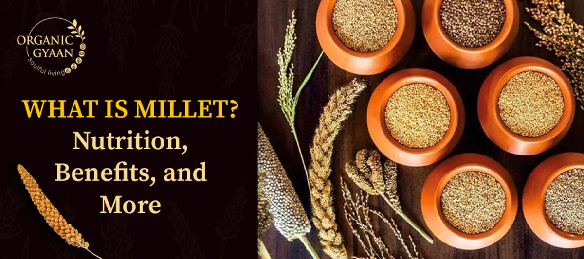 Millet: Nutrition, Health Benefits, and More – Organic Gyaan