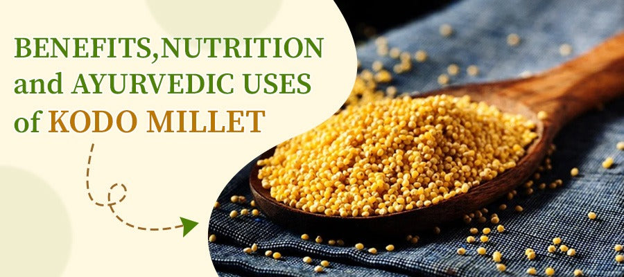 Benefits of kodo millet