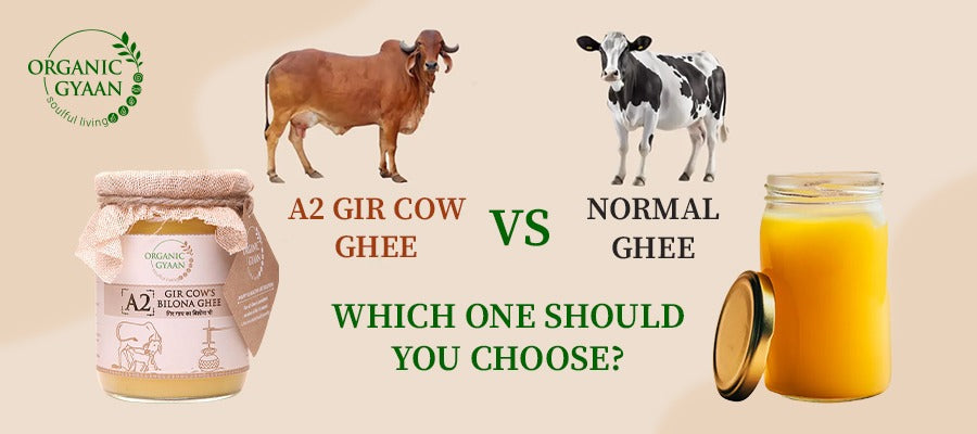 A2 Gir Cow Ghee vs Normal Ghee: Which One Should You Choose?