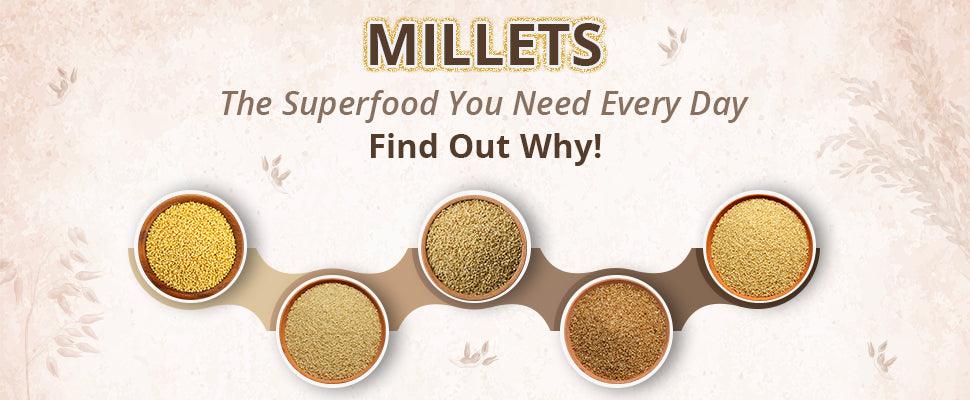 Dog ate outlet millet