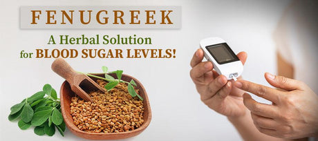 how fenugreek can help control blood sugar