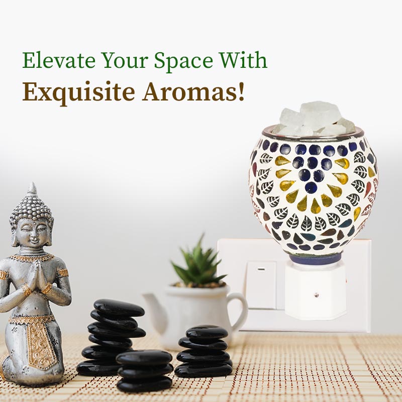 ceramic diffuser by organic gyaan