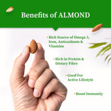 Almonds - Organic Gyaan