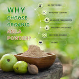 Amla Powder - Organic Gyaan