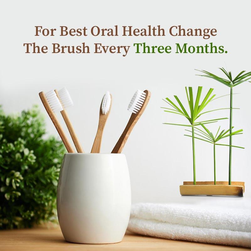 Bamboo Tooth Brush - Organic Gyaan