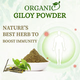 Best organic herb giloy powder