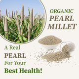 Organic pearl millet 