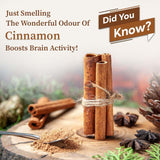 Cinnamon Bark - Organic Gyaan