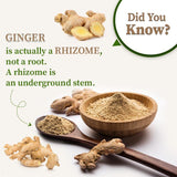 Sonth Powder | Dry Ginger Powder - Organic Gyaan