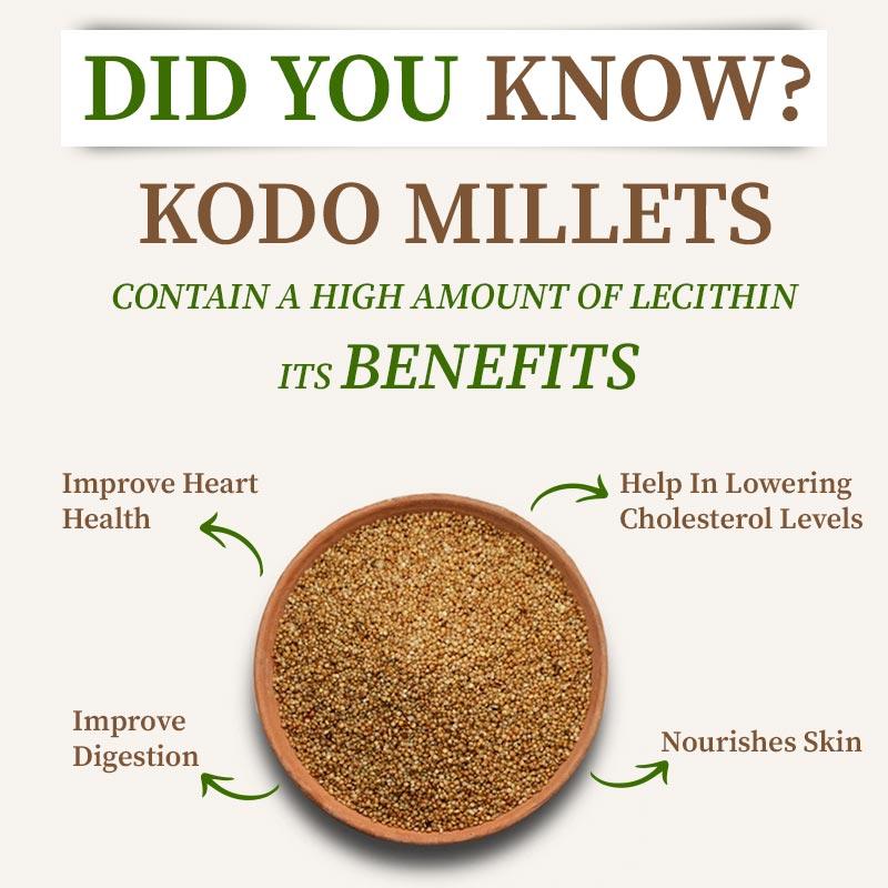 Kodo millet rich in lecithin