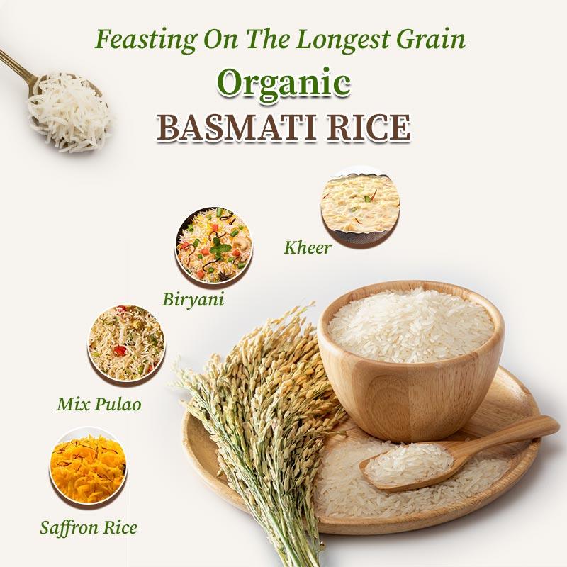 Basmati rice recipes