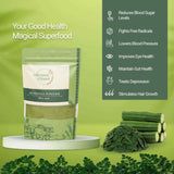 Moringa powder benefits