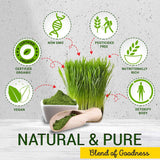 Certified organic wheatgrass powder 