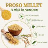 Proso millet nutrients