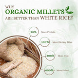 barnyard millet better than white rice