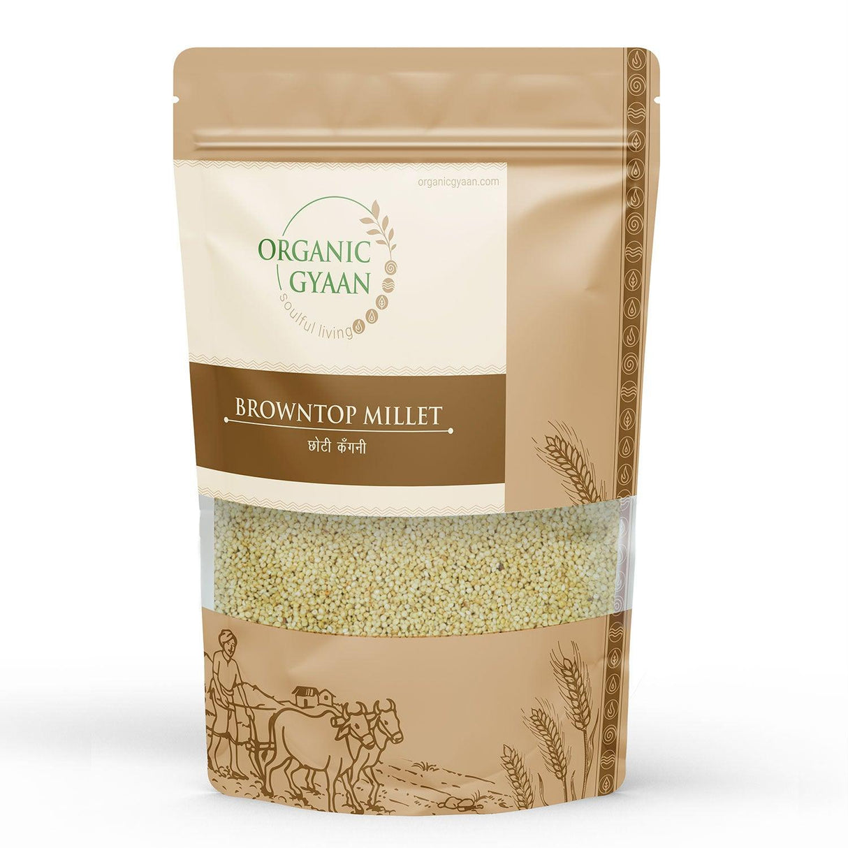 Brown top millet