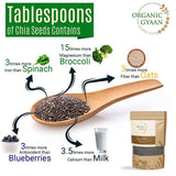 Chia seeds nutrients